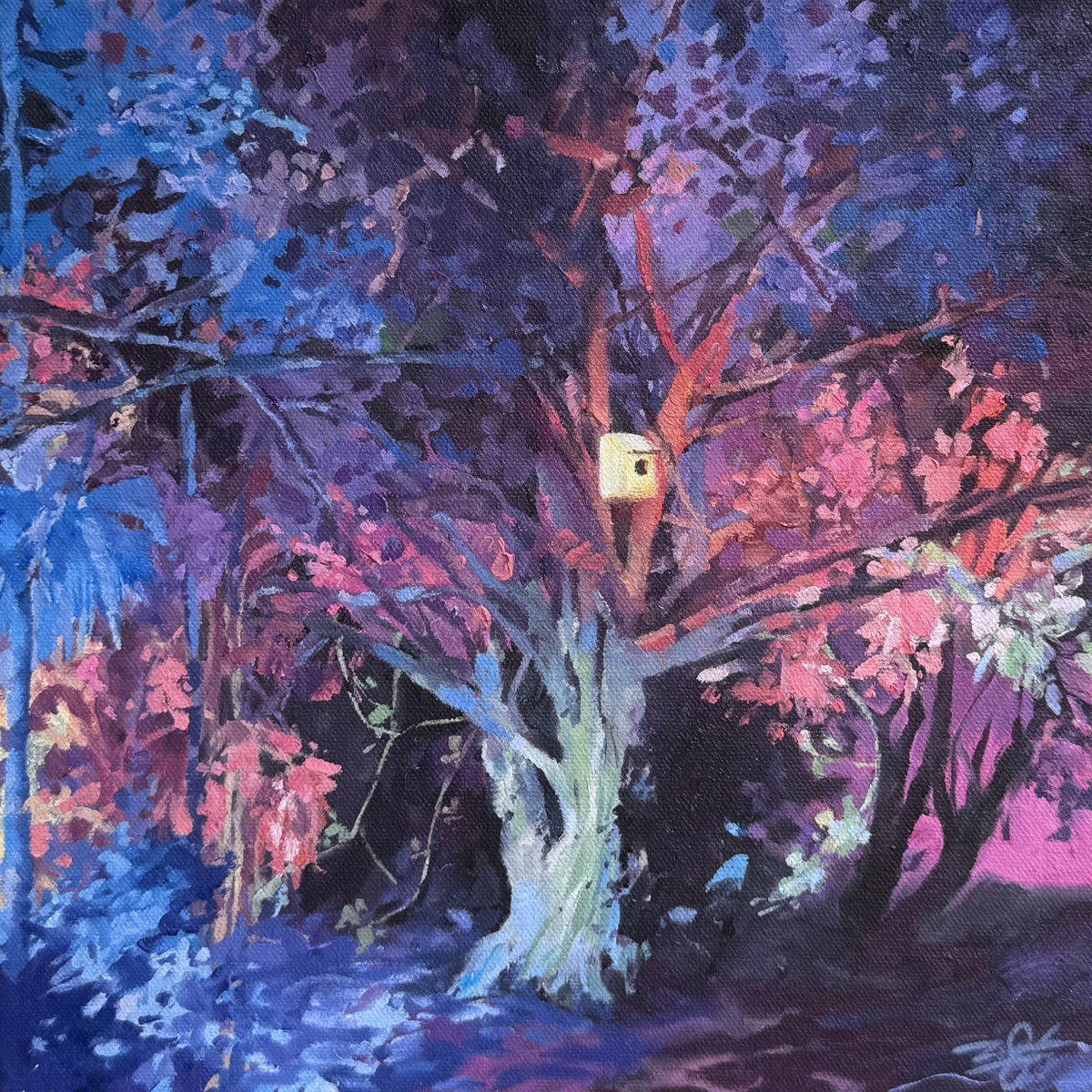 Éclats nocturnes